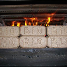 Original BioBricks
